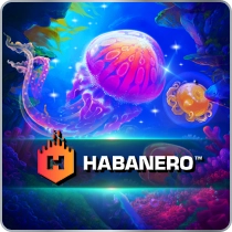 ICON Provider 49_result